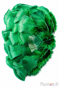 Tacchino bronzo - sbiancato - 5-15 cm - smeraldo